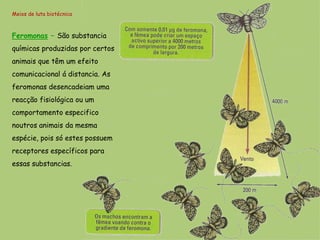 Meios de luta biotécnica



Feromonas – São substancia
químicas produzidas por certos
animais que têm um efeito
comunicacional á distancia. As
feromonas desencadeiam uma
reacção fisiológica ou um
comportamento especifico
noutros animais da mesma
espécie, pois só estes possuem
receptores específicos para
essas substancias.
 