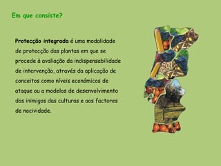 Em que consiste?



 Protecção integrada é uma modalidade
 de protecção das plantas em que se
 procede à avaliação da indispensabilidade
 de intervenção, através da aplicação de
 conceitos como níveis económicos de
 ataque ou a modelos de desenvolvimento
 dos inimigos das culturas e aos factores
 de nocividade.
 