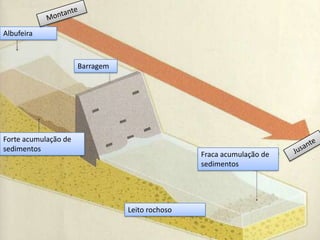 Albufeira



                      Barragem




Forte acumulação de
sedimentos
                                                 Fraca acumulação de
                                                 sedimentos




                                 Leito rochoso
 
