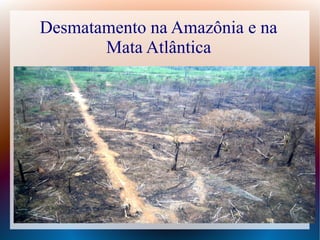 Desmatamento na Amazônia e na
Mata Atlântica
 