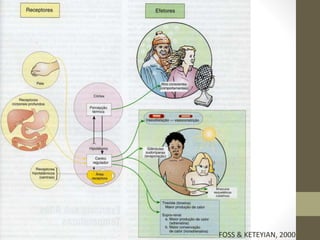 FOSS & KETEYIAN, 2000

 