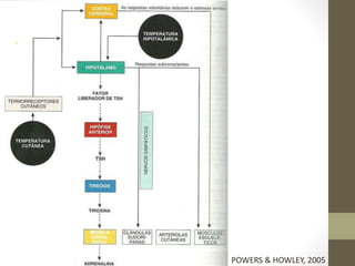 POWERS & HOWLEY, 2005

 