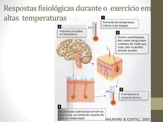 Respostas fisiológicas durante o exercício em
altas temperaturas

WILMORE & COSTILL, 2001

 