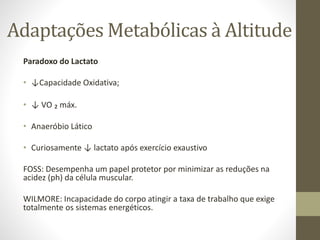 Adaptações Metabólicas à Altitude
Paradoxo do Lactato
• ↓Capacidade Oxidativa;
• ↓ VO ₂ máx.

• Anaeróbio Lático
• Curiosamente ↓ lactato após exercício exaustivo
FOSS: Desempenha um papel protetor por minimizar as reduções na
acidez (ph) da célula muscular.
WILMORE: Incapacidade do corpo atingir a taxa de trabalho que exige
totalmente os sistemas energéticos.

 