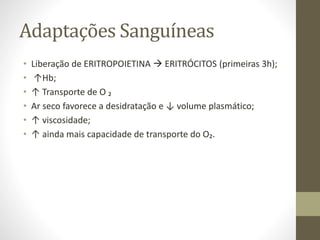 Adaptações Sanguíneas
•
•
•
•
•
•

Liberação de ERITROPOIETINA  ERITRÓCITOS (primeiras 3h);
↑Hb;
↑ Transporte de O ₂
Ar seco favorece a desidratação e ↓ volume plasmático;
↑ viscosidade;
↑ ainda mais capacidade de transporte do O₂.

 