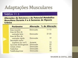 Adaptações Musculares

WILMORE & COSTILL, 2001

 