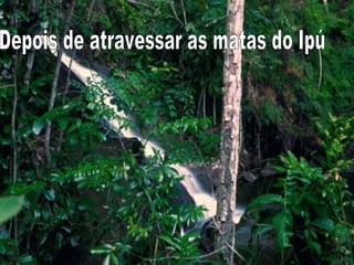 Depois de atravessar as matas do Ipú 