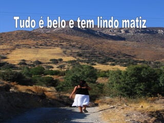 Tudo é belo e tem lindo matiz 
