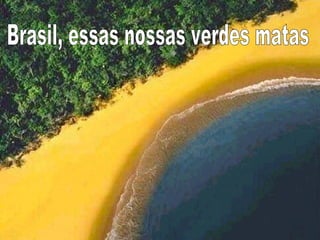Brasil, essas nossas verdes matas 