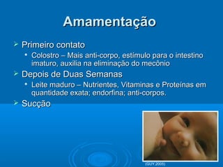 AmamentaçãoAmamentação
 Primeiro contatoPrimeiro contato

Colostro – Mais anti-corpo, estímulo para o intestinoColostro – Mais anti-corpo, estímulo para o intestino
imaturo, auxilia na eliminação do mecônioimaturo, auxilia na eliminação do mecônio
 Depois de Duas SemanasDepois de Duas Semanas

Leite maduro – Nutrientes, Vitaminas e Proteínas emLeite maduro – Nutrientes, Vitaminas e Proteínas em
quantidade exata; endorfina; anti-corpos.quantidade exata; endorfina; anti-corpos.
 SucçãoSucção
(GUY,2005)
 