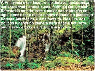 A Amazônia é um tesouro inestimável que precisa ser preservado a todo custo. Além de ser a maior floresta do mundo, com a maior concentração de água doce e ter a maior biodiversidade do planeta, a floresta Amazônica é uma fonte de vida, um dos poucos lugares no planeta terra onde a natureza ainda exerce toda a sua força magnífica.  