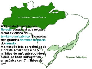 A Floresta Amazônica é a  floresta  equatorial que ocupa a maior extensão do  território amazônico . É uma das três grandes  florestas tropicais  do  mundo . A extensão total aproximada da Floresta Amazônica é de 5,5 milhões de km², sobrepondo-se à área da bacia hidrográfica amazônica com 7 milhões de km² 