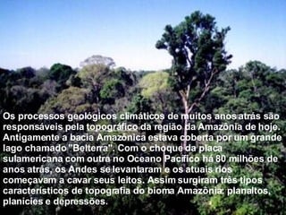 Os processos geológicos climáticos de muitos anos atrás são responsáveis pela  topográfico  da região da Amazônia de hoje. Antigamente a bacia Amazônica estava coberta por um grande lago chamado "Belterra". Com o choque da placa sulamericana com outra no Oceano Pacífico há 80 milhões de anos atrás, os Andes se levantaram e os atuais rios começavam a cavar seus leitos. Assim surgiram três tipos característicos de topografia do bioma Amazônia: planaltos, planícies e depressões. 