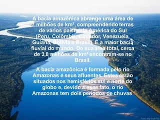 A bacia amazônica abrange uma área de 7 milhões de km², compreendendo terras de vários países da América do Sul (Peru, Colômbia, Equador, Venezuela, Guiana, Bolívia e Brasil). É a maior bacia fluvial do mundo. De sua área total, cerca de 3,8 milhões de km² encontram-se no Brasil. A bacia amazônica é formada pelo rio Amazonas e seus afluentes. Estes estão situados nos hemisférios sul e norte do globo e, devido a esse fato, o rio Amazonas tem dois períodos de chuvas   
