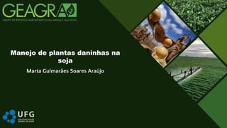 Marta Guimarães Soares Araújo
Manejo de plantas daninhas na
soja
 