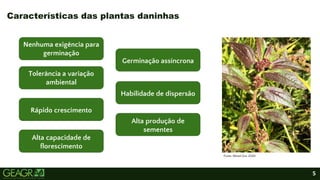 MANEJO DE PLANTAS DANINHAS DA SOJA. .pptx