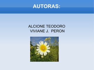 AUTORAS: ALCIONE TEODORO  VIVIANE J.  PERON 