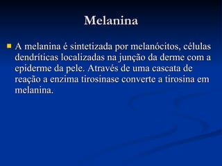 Melanina A melanina é sintetizada por melanócitos, células dendríticas localizadas na junção da derme com a epiderme da pele. Através de uma cascata de reação a enzima tirosinase converte a tirosina em melanina.  
