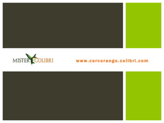 www.corcorango.colibri.com
 