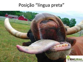 Posição “língua preta” 