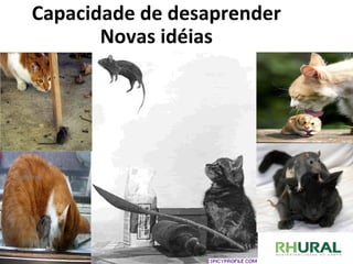 Capacidade de desaprender  Novas idéias  