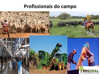 Profissionais do campo 