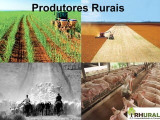 Produtores Rurais 