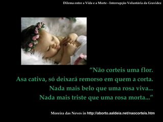 “ Não corteis uma flor.  Asa cativa, só deixará remorso em quem a corta.  Nada mais belo que uma rosa viva...  Nada mais triste que uma rosa morta...”     Moreira das Neves in  http://aborto.aaldeia.net/naocorteis.htm Dilema entre a Vida e a Morte - Interrupção Voluntária da Gravidez 