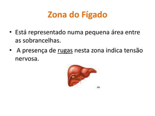 Zona do FígadoEstá representado numa pequena área entre as sobrancelhas. A presença de rugas nesta zona indica tensão nervosa.