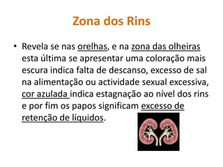 Zona dos RinsRevela se nas orelhas, e na zona das olheiras esta última se apresentar uma coloração mais escura indica falta de descanso, excesso de sal na alimentação ou actividade sexual excessiva, cor azulada indica estagnação ao nível dos rins e por fim os papos significam excesso de retenção de líquidos.