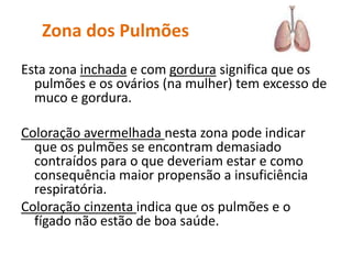 Esta zona inchada e com gordura significa que os pulmões e os ovários (na mulher) tem excesso de muco e gordura. Coloração avermelhada nesta zona pode indicar que os pulmões se encontram demasiado contraídos para o que deveriam estar e como consequência maior propensão a insuficiência respiratória. Coloração cinzenta indica que os pulmões e o fígado não estão de boa saúde.Zona dos Pulmões