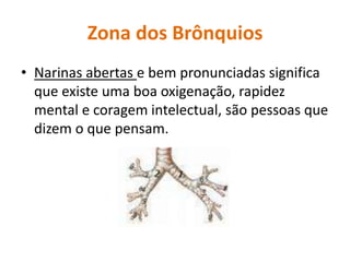 Zona dos BrônquiosNarinas abertas e bem pronunciadas significa que existe uma boa oxigenação, rapidez mental e coragem intelectual, são pessoas que dizem o que pensam.