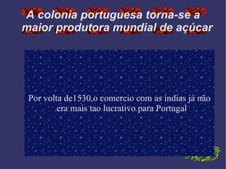 A colonia portuguesa torna-se a maior produtora  mundial  de  açúcar Por volta de1530,o comercio com as  índias  já não era mais tao lucrativo para  Portugal 