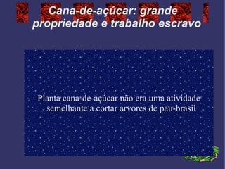 Cana-de-açúcar : grande propriedade e trabalho escravo Planta cana-de-açúcar  não era uma atividade  semelhante  a cortar arvores de pau-brasil 