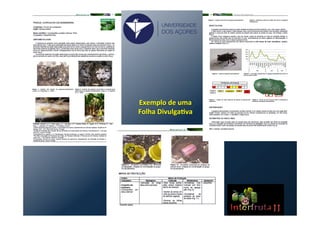 Exemplo	
  de	
  uma	
  
Folha	
  DivulgaVva	
  
UNIVERSIDADE
DOS AÇORES
 