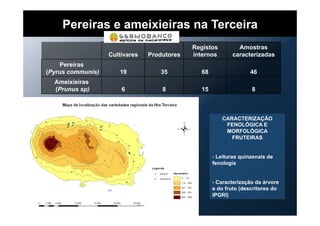 Pereiras e ameixieiras na Terceira
Cultivares Produtores
Registos
internos
Amostras
caracterizadas
Pereiras
(Pyrus communis) 19 35 68 46
Ameixieiras
(Prunus sp) 6 8 15 8
CARACTERIZAÇÃO
FENOLÓGICA E
MORFOLÓGICA
FRUTEIRAS
- Leituras quinzenais de
fenologia
- Caracterização da árvore
e do fruto (descritores do
IPGRI)
 