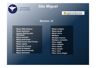 São Miguel
•  Maçã 3000 dólares
•  Maçã abelheira
•  Aguiar (Rainha das
Reinetas)
•  Maçã amarela
•  Maçã americana
•  Maçã branca das Furnas
•  Maçã capela
•  Maçã das Furnas
•  Maçã de Agosto
•  Maçã desconhecida
•  Maçã desmarte
• Maçã malápio
• Maçã parda
• Maçã vieira
• Malápio
• Malápio branco
• Malápio vermelho
• Pêro inglês
• Pêro malápio
• Pêro rajado
• Pêro rosado
• Pêro vime
• Pêro viúva alegre
Macieiras - 34
UNIVERSIDADE
DOS AÇORES
 