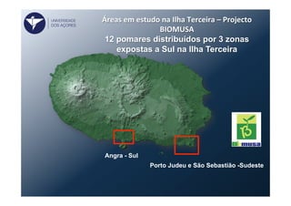 Áreas	
  em	
  estudo	
  na	
  Ilha	
  Terceira	
  –	
  Projecto	
  
BIOMUSA	
  
12 pomares distribuídos por 3 zonas
expostas a Sul na Ilha Terceira	
  
	
  
Porto Judeu e São Sebastião -Sudeste
Angra - Sul
UNIVERSIDADE
DOS AÇORES
 