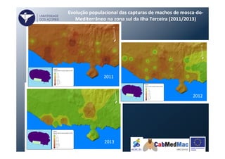 Evolução	
  populacional	
  das	
  capturas	
  de	
  machos	
  de	
  mosca-­‐do-­‐
Mediterrâneo	
  na	
  zona	
  sul	
  da	
  Ilha	
  Terceira	
  (2011/2013)	
  
2012	
  
2011	
  
2013	
  
UNIVERSIDADE
DOS AÇORES
 