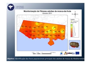 ObjeVvo:	
  IdenFﬁcação	
  dos	
  focos	
  populacionais	
  principais	
  dos	
  adultos	
  de	
  mosca-­‐do-­‐Mediterrâneo	
  	
  
UNIVERSIDADE
DOS AÇORES
 