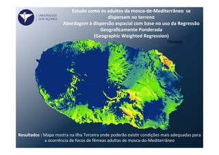 Estudo	
  como	
  os	
  adultos	
  da	
  mosca-­‐de-­‐Mediterrâneo	
  	
  se	
  
dispersam	
  no	
  terreno	
  	
  
Abordagem	
  à	
  dispersão	
  espacial	
  com	
  base	
  no	
  uso	
  da	
  Regressão	
  
Geograﬁcamente	
  Ponderada	
  
(Geographic	
  Weighted	
  Regression)	
  
Fêmeas	
  
Resultados	
  :	
  Mapa	
  mostra	
  na	
  Ilha	
  Terceira	
  onde	
  poderão	
  exisFr	
  condições	
  mais	
  adequadas	
  para	
  
a	
  ocorrência	
  de	
  focos	
  de	
  fêmeas	
  adultas	
  de	
  mosca-­‐do-­‐Mediterrâneo	
  
UNIVERSIDADE
DOS AÇORES
 