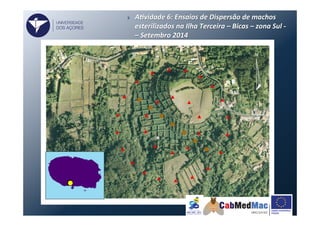 }  A)vidade	
  6:	
  Ensaios	
  de	
  Dispersão	
  de	
  machos	
  
esterilizados	
  na	
  Ilha	
  Terceira	
  –	
  Bicas	
  –	
  zona	
  Sul	
  -­‐	
  
–	
  Setembro	
  2014	
  
UNIVERSIDADE
DOS AÇORES
 