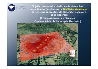Objetivo dos ensaios de dispersão de machos
esterilizados (produzidos na Biofábrica da Madeira
=> ver a sua capacidade de dispersão no terreno
após dispersão
(Exemplo zona rural - Biscoitos
Capturas totais: 24 horas após libertação)
38
UNIVERSIDADE
DOS AÇORES
 