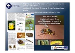 •  ObjeVvo	
  especíﬁco	
  3:	
  Ações	
  de	
  extensão	
  junto	
  dos	
  produtores	
  e	
  
difusão	
  dos	
  resultados	
  
•  A)vidade	
  8:	
  Elaboração	
  de	
  material	
  divulga)vo	
  das	
  ações	
  do	
  
projeto	
  
–  Panﬂetos;	
  Folheto/Aviso	
  Bactrocera	
  invadens;	
  livro	
  
UNIVERSIDADE
DOS AÇORES
 