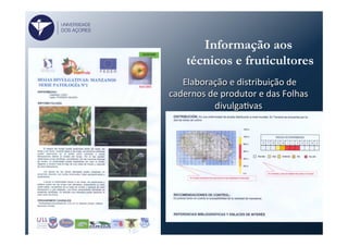 Informação aos
técnicos e fruticultores
	
  Elaboração	
  e	
  distribuição	
  de	
  
cadernos	
  de	
  produtor	
  e	
  das	
  Folhas	
  
divulgaFvas	
  
UNIVERSIDADE
DOS AÇORES
 