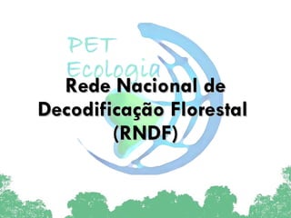 Rede Nacional de Decodificação Florestal  (RNDF) 