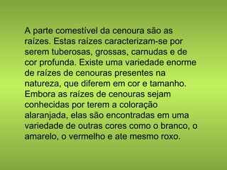 A parte comestível da cenoura são as 
raízes. Estas raízes caracterizam-se por 
serem tuberosas, grossas, carnudas e de 
cor profunda. Existe uma variedade enorme 
de raízes de cenouras presentes na 
natureza, que diferem em cor e tamanho. 
Embora as raízes de cenouras sejam 
conhecidas por terem a coloração 
alaranjada, elas são encontradas em uma 
variedade de outras cores como o branco, o 
amarelo, o vermelho e ate mesmo roxo. 
 
