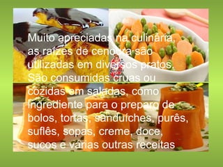 Muito apreciadas na culinária, 
as raízes de cenoura são 
utilizadas em diversos pratos. 
São consumidas cruas ou 
cozidas em saladas, como 
ingrediente para o preparo de 
bolos, tortas, sanduíches, purês, 
suflês, sopas, creme, doce, 
sucos e várias outras receitas 
 
