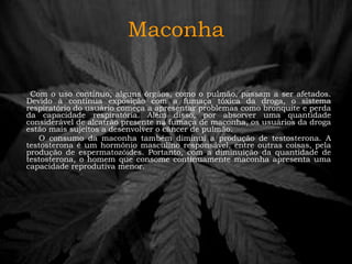 Maconha Com o uso contínuo, alguns órgãos, como o pulmão, passam a ser afetados. Devido à contínua exposição com a fumaça tóxica da droga, o sistema respiratório do usuário começa a apresentar problemas como bronquite e perda da capacidade respiratória. Além disso, por absorver uma quantidade considerável de alcatrão presente na fumaça de maconha, os usuários da droga estão mais sujeitos a desenvolver o câncer de pulmão.  O consumo da maconha também diminui a produção de testosterona. A testosterona é um hormônio masculino responsável, entre outras coisas, pela produção de espermatozóides. Portanto, com a diminuição da quantidade de testosterona, o homem que consome continuamente maconha apresenta uma capacidade reprodutiva menor.  