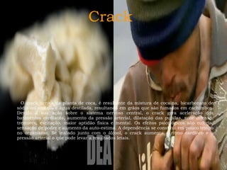 Crack O crack deriva da planta de coca, é resultante da mistura de cocaína, bicarbonato de sódio ou amônia e água destilada, resultando em grãos que são fumados em cachimbos. Devido à sua ação sobre o sistema nervoso central, o crack gera aceleração dos batimentos cardíacos, aumento da pressão arterial, dilatação das pupilas, suor intenso, tremores, excitação, maior aptidão física e mental. Os efeitos psicológicos são euforia, sensação de poder e aumento da auto-estima. A dependência se constitui em pouco tempo no organismo. Se inalado junto com o álcool, o crack aumenta o ritmo cardíaco e a pressão arterial o que pode levar a resultados letais. 